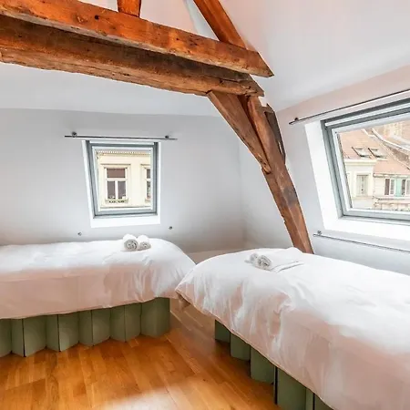 公寓 Duplex Rue Royale, Rooftop, Balneo 里尔