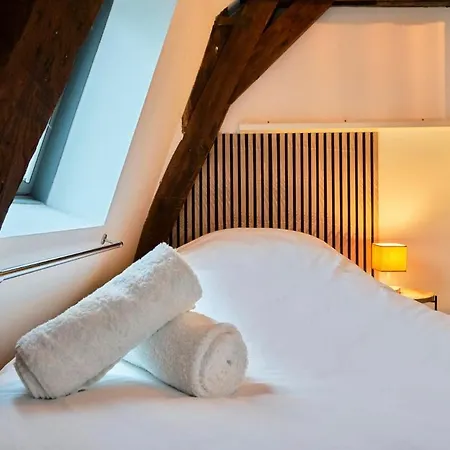 Duplex Rue Royale, Rooftop, Balneo 公寓 *