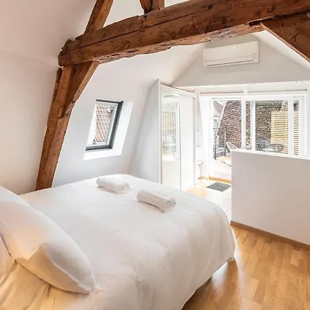 Duplex Rue Royale, Rooftop, Balneo 公寓 里尔