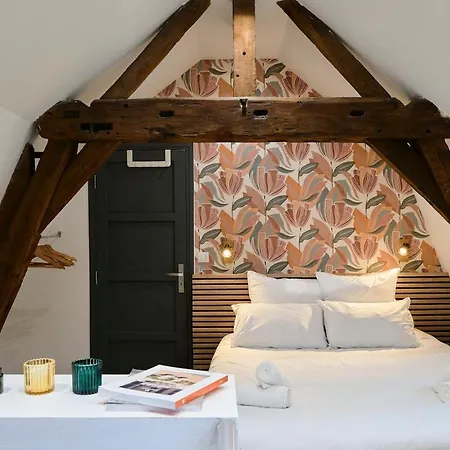 דירה Duplex Rue Royale, Rooftop, Balneo *