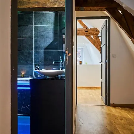 公寓 Duplex Rue Royale, Rooftop, Balneo 里尔