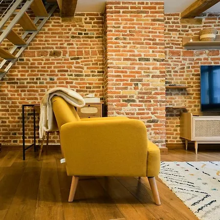 Duplex Rue Royale, Rooftop, Balneo * 里尔