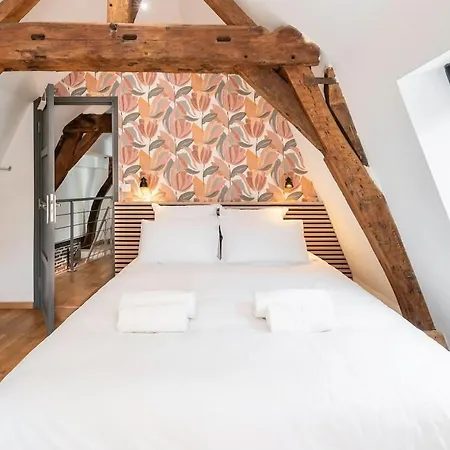 Duplex Rue Royale, Rooftop, Balneo Apartment *