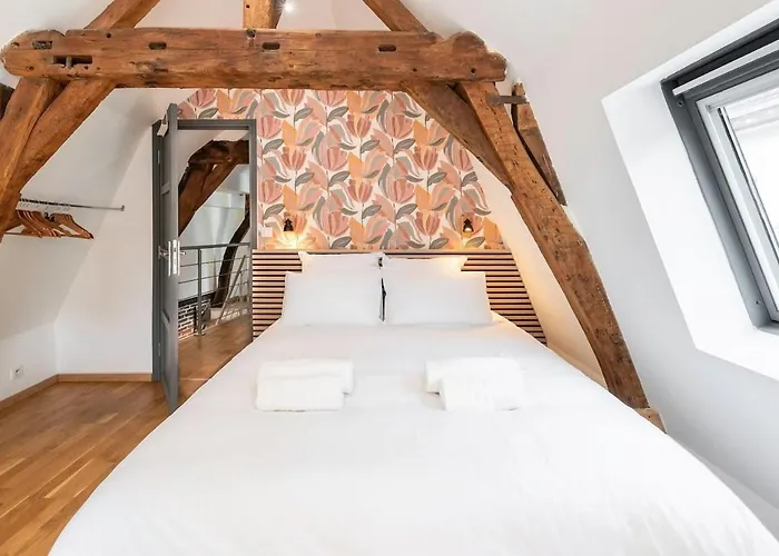Duplex Rue Royale, Rooftop, Balneo Lejlighed *
