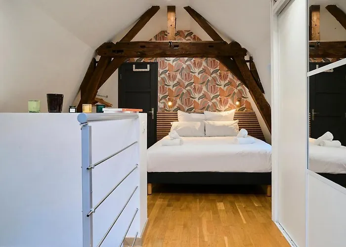 Duplex Rue Royale, Rooftop, Balneo Lejlighed