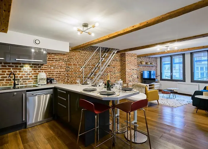 Duplex Rue Royale, Rooftop, Balneo Lejlighed Lille