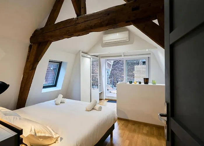 Duplex Rue Royale, Rooftop, Balneo Lejlighed *