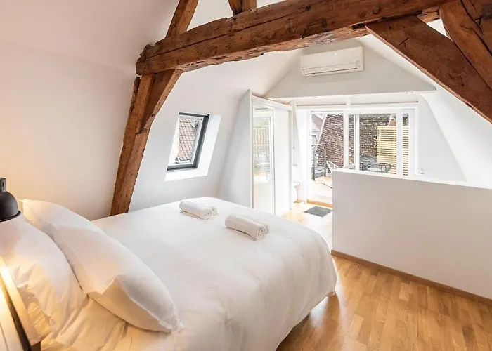 Duplex Rue Royale, Rooftop, Balneo Lejlighed Lille